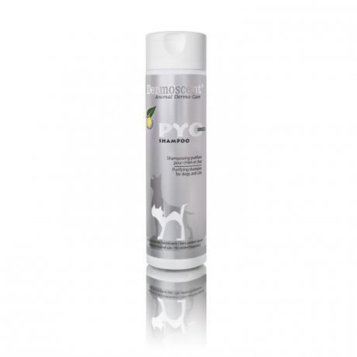 PYOclean Shampoo for dogs and cats - шампунь, що очищає, для кращого контролю шкірних інфекцій (200 мл)